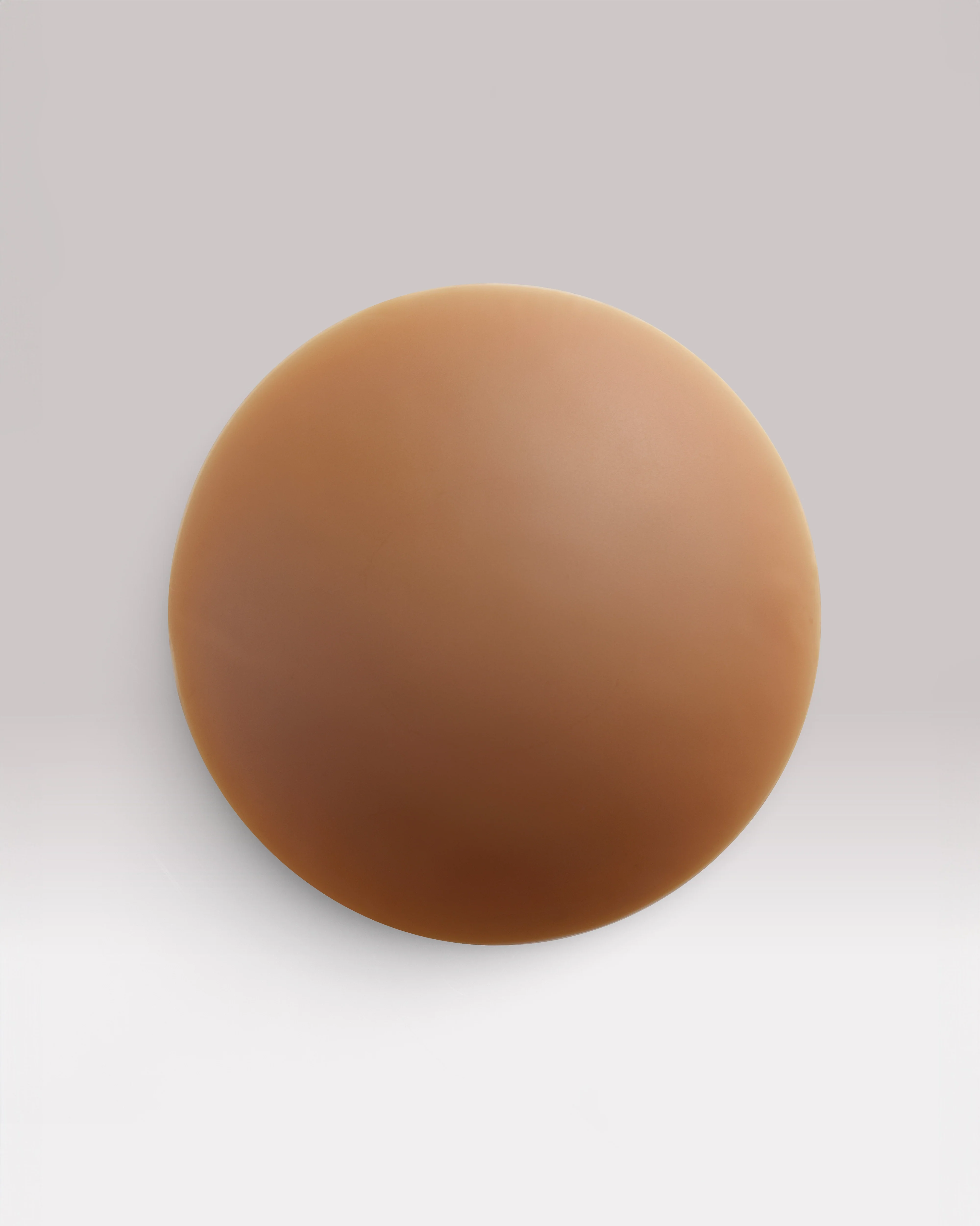 NIPS - CONCEAL - Image 13