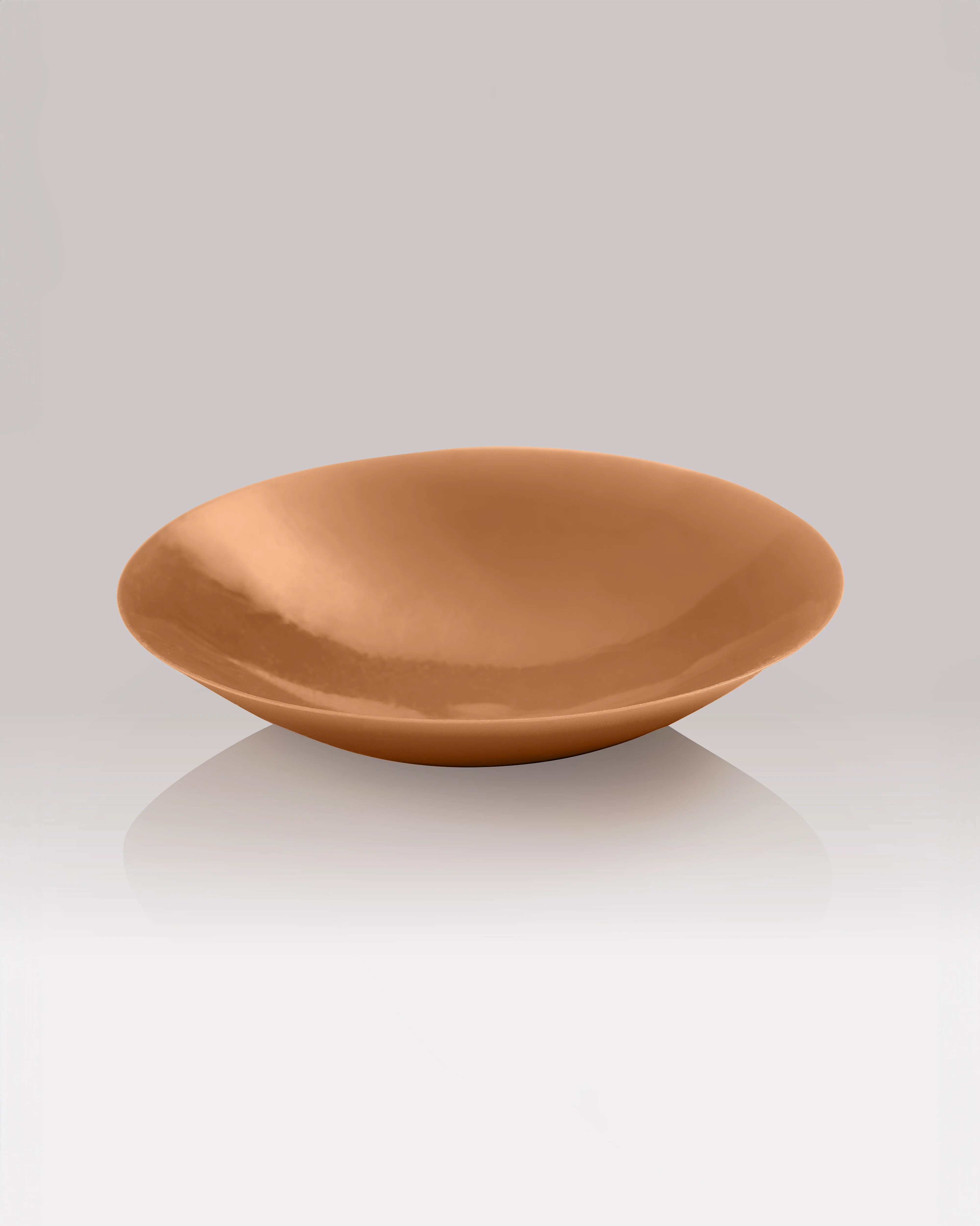 NIPS - CONCEAL - Image 14