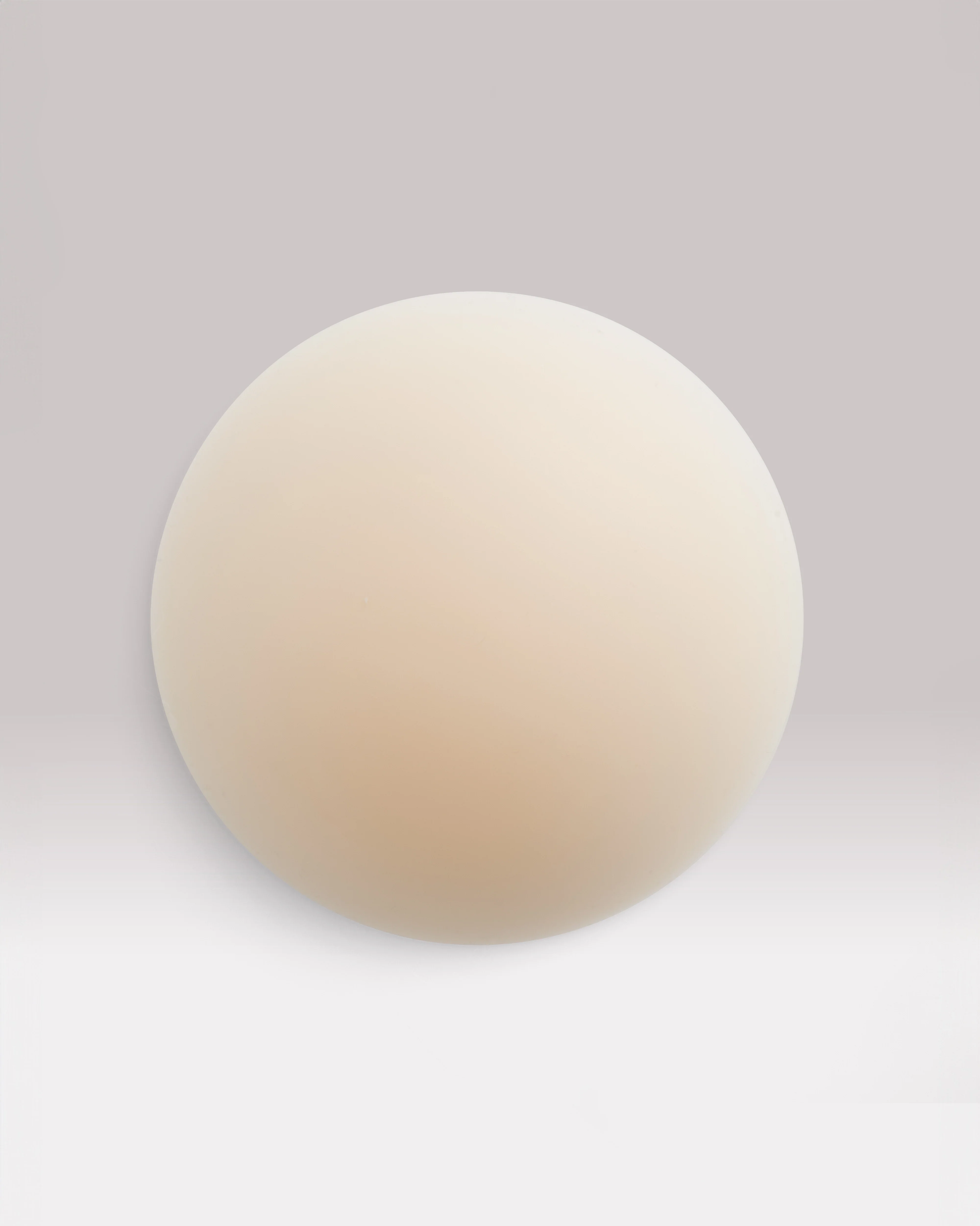 NIPS - CONCEAL - Image 5