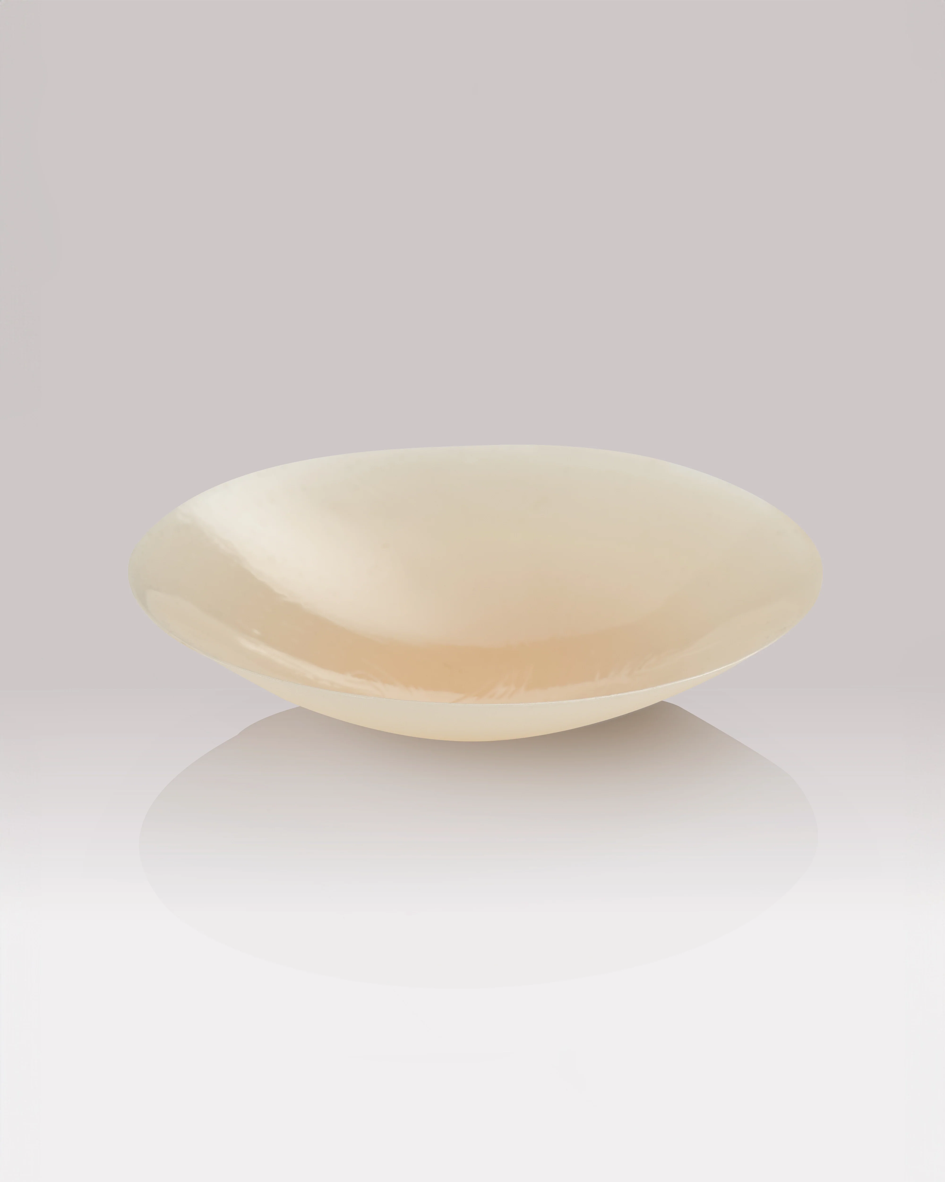 NIPS - CONCEAL - Image 6