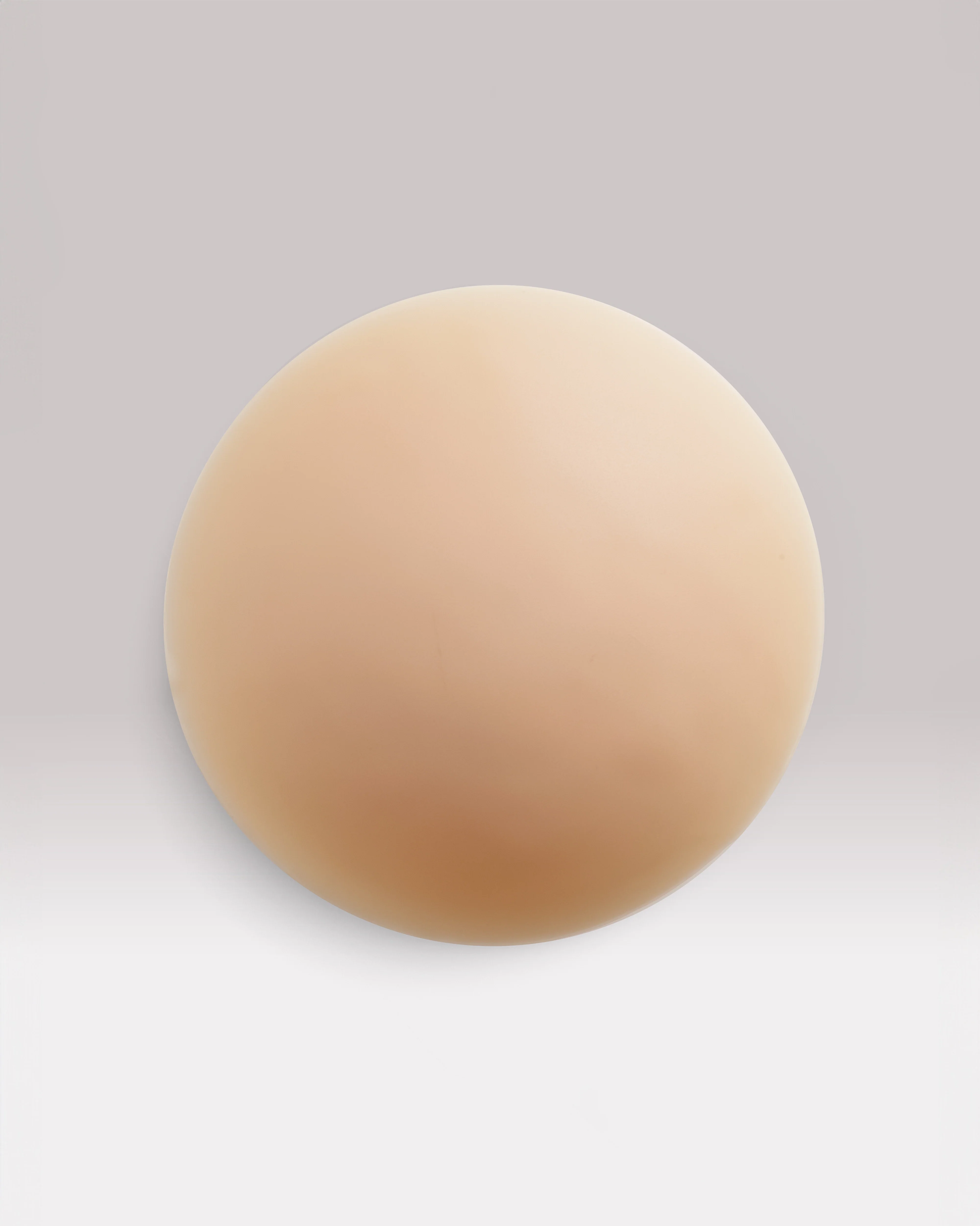 NIPS - CONCEAL - Image 7