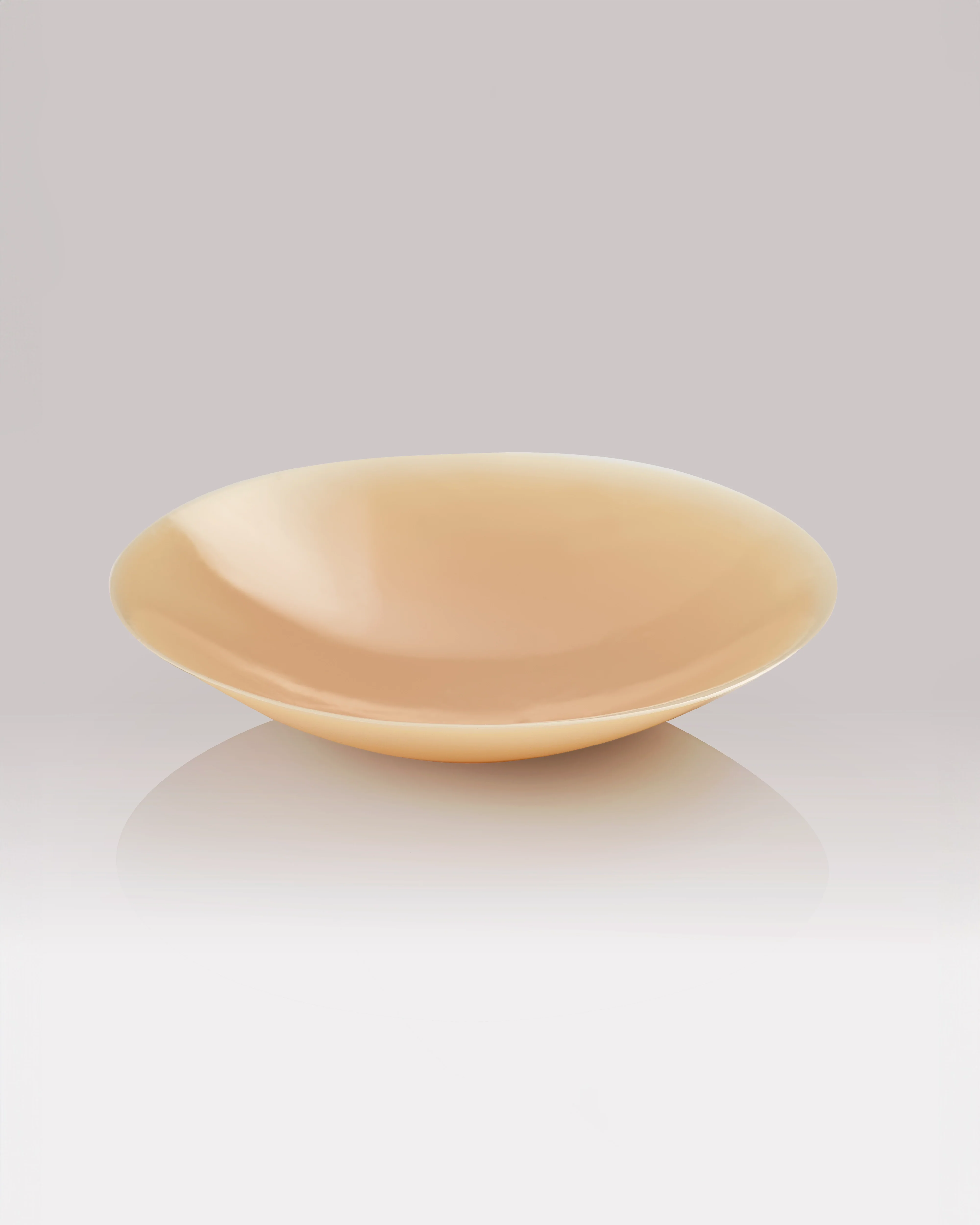 NIPS - CONCEAL - Image 8