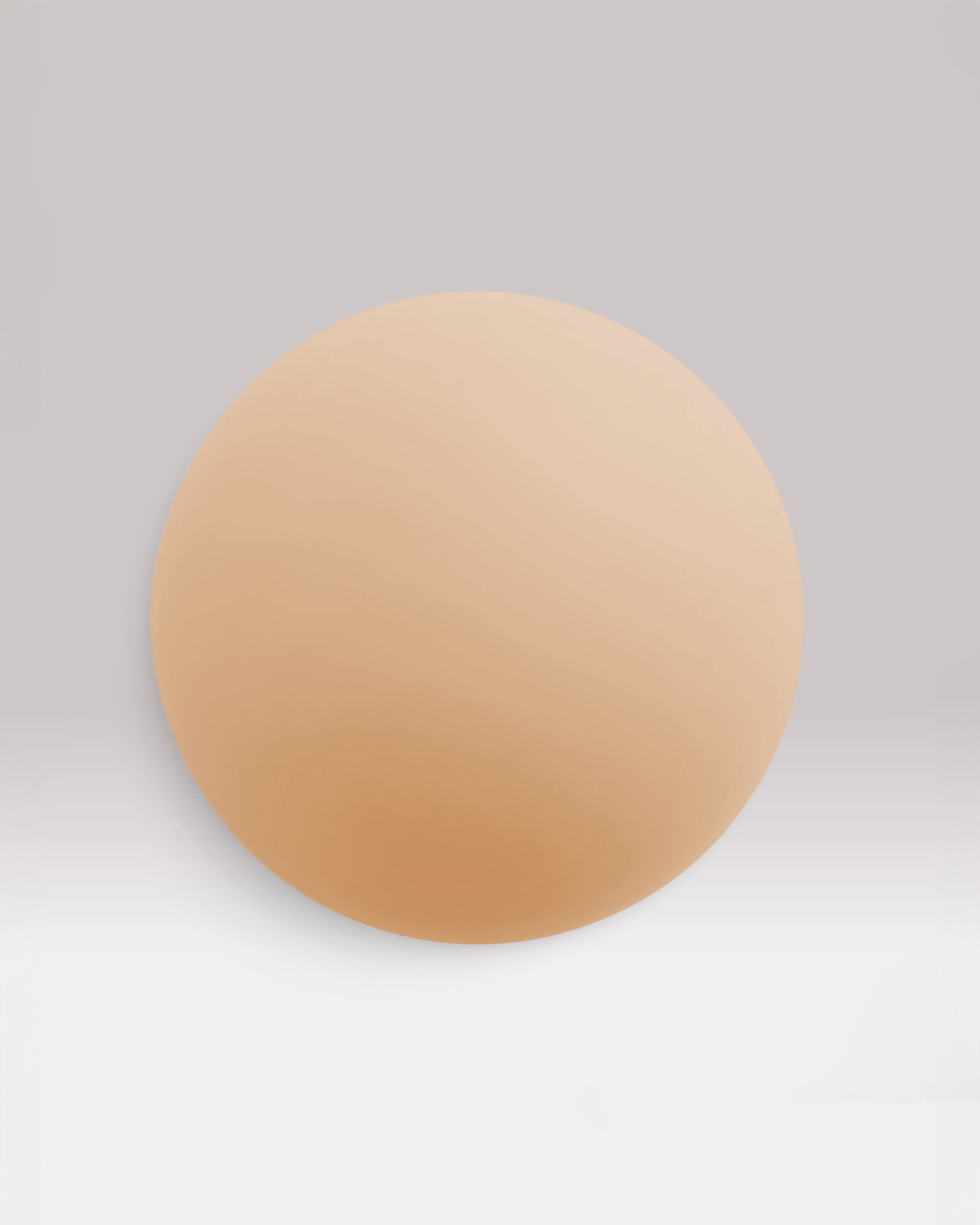 NIPS - CONCEAL - Image 9